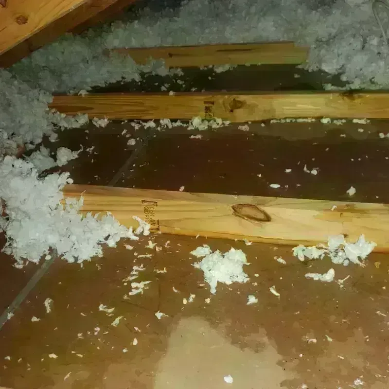 Attic Water Damage in Monroe, MI