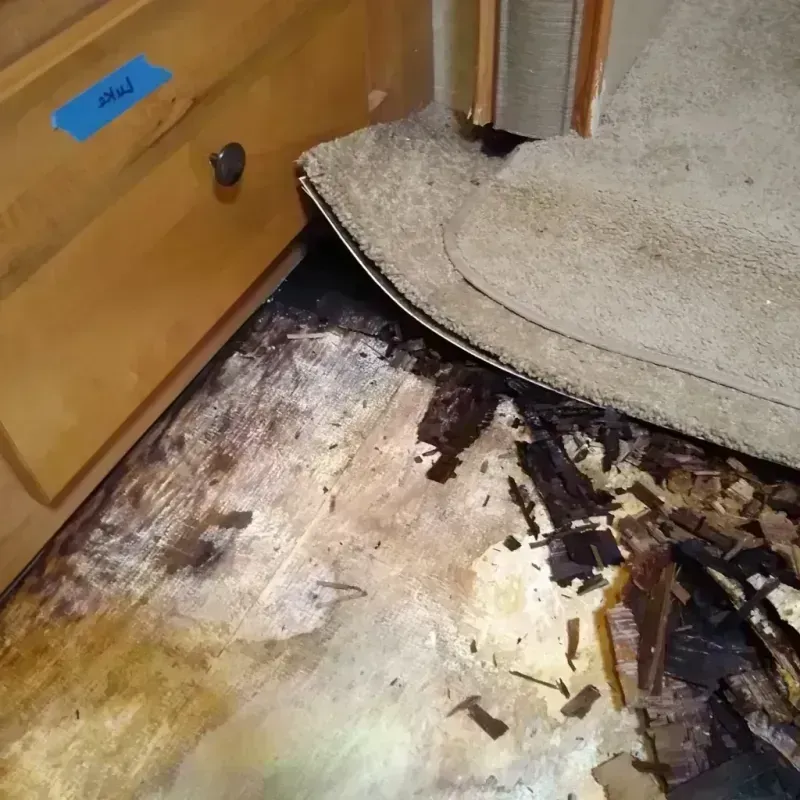 Wood Floor Water Damage in Monroe, MI